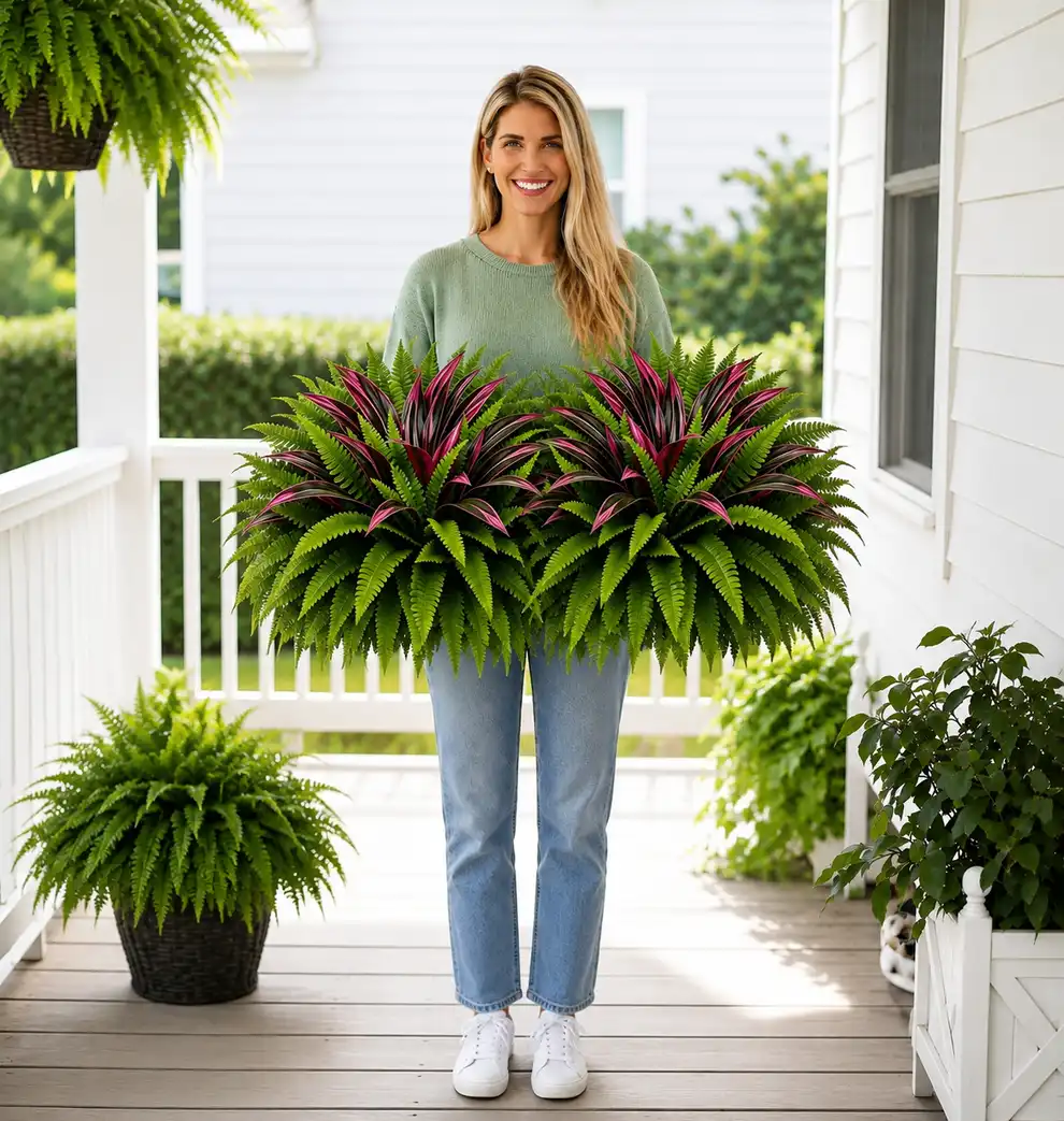 🔥LAST DAY SPECIAL 50% 🌿UV-Resistant Artificial Fern & Red Dracaena Decorative Plants